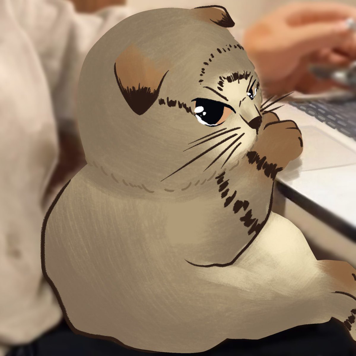 meow tweet media