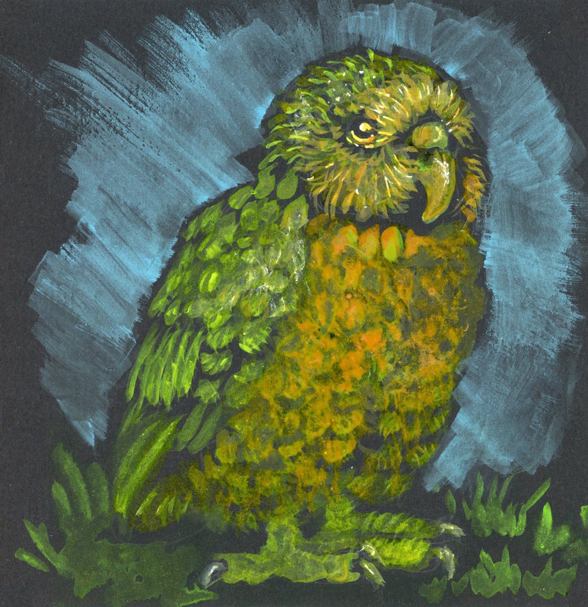 LifeImitatesDdl's tweet image. #DoodlewashNovember2024 prompt: Parrot. Did you know the kākāpō is both the world’s only flightless parrot, and the heaviest parrot? Da Vinci Sketching Set &amp;amp; Gouache on Stonehenge Aqua Black Watercolor paper.
@legionpaper #paulrubensart #paulrubenswatercolor #WorldWatercolorGroup
