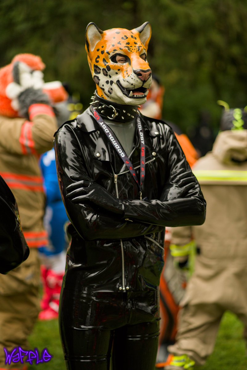 Shiny biker cat! 

📷 <a href="/WaffleSLC/">Waffle</a>
