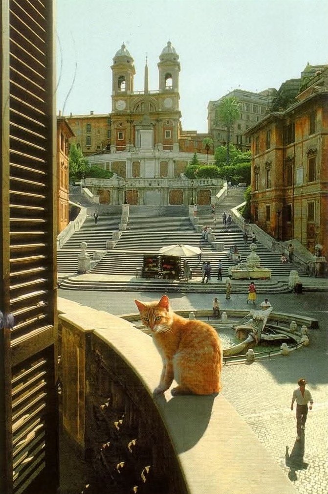 Las iglesias de Roma y los gatos ¿mejor naranjas? 
🐈🧡
📷 Trinità dei Monti y escalinata de Piazza di Spagna