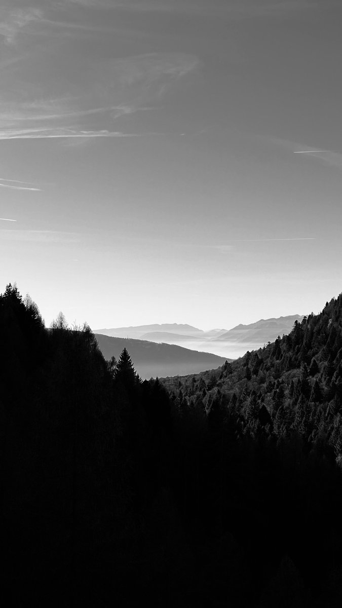 MΛTTIΛ CΛRИIΞL (@mattiacarniel) on Twitter photo 