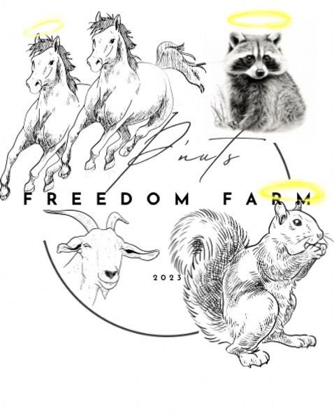 ChrystalRIP's tweet photo. We will be donating to the $PNUT FARM

This is project for the people, this is for legacy, this is for politics, this is for the USA, this is for $PNUT this is for the WORLD.

$CHRYSTAL WE LOVE YOU https://t.co/T9w1Jx9xtV