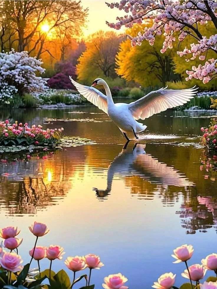 Bem-aventurados os mansos, porque eles herdarão a terra; Mateus 5-5