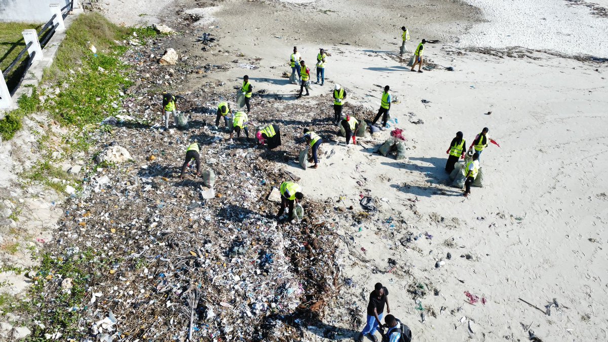 Simply Green organization Tz tweet media