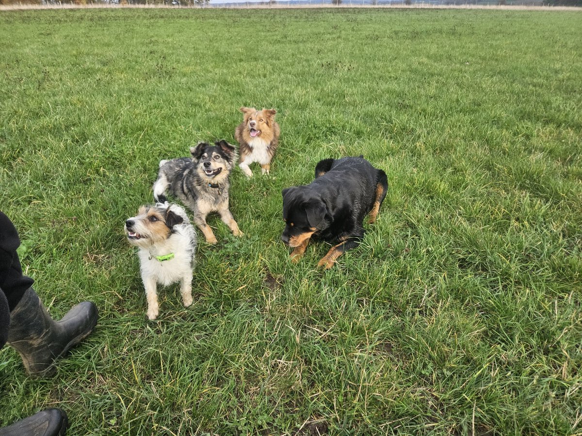 Bunny and friends... 😍