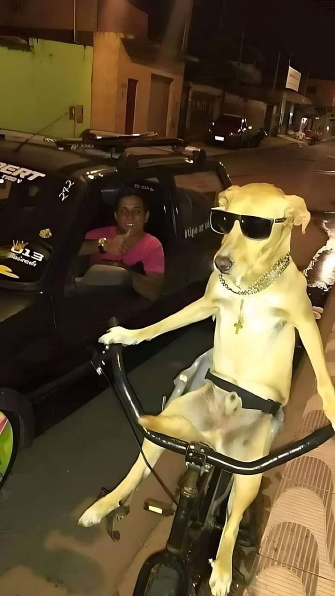 hrdevrythng's tweet image. ㅤ