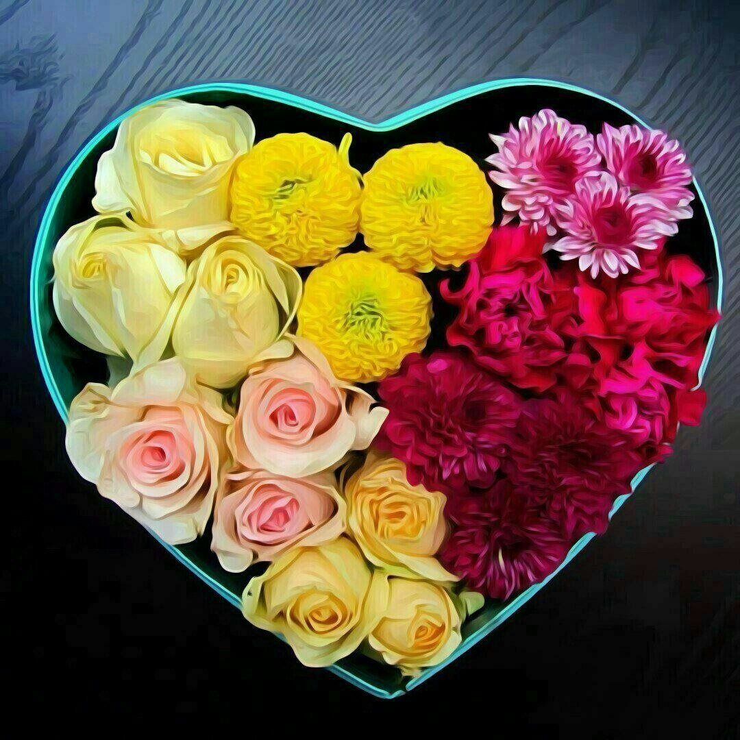 كتب على أحد محلات بيع الزهور : لا يمكن للورد أن يحل جميع المشاكل، لكنها بداية عظيمة
#مساء_الورد