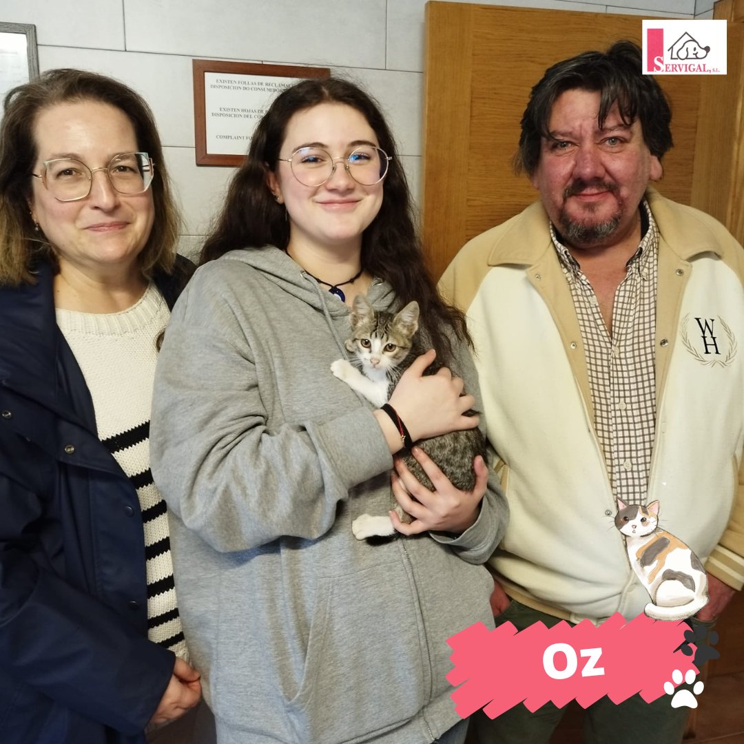 Este Oz no es un mago, pero tiene la habilidad de hechizar con sus ronroneos 🧙‍♂️ Nos encanta verlo así de feliz con su nueva familia 🥰

¡Gracias por adoptar! 🙏

#Adopción #Servigal #AdoptaResponsablemente