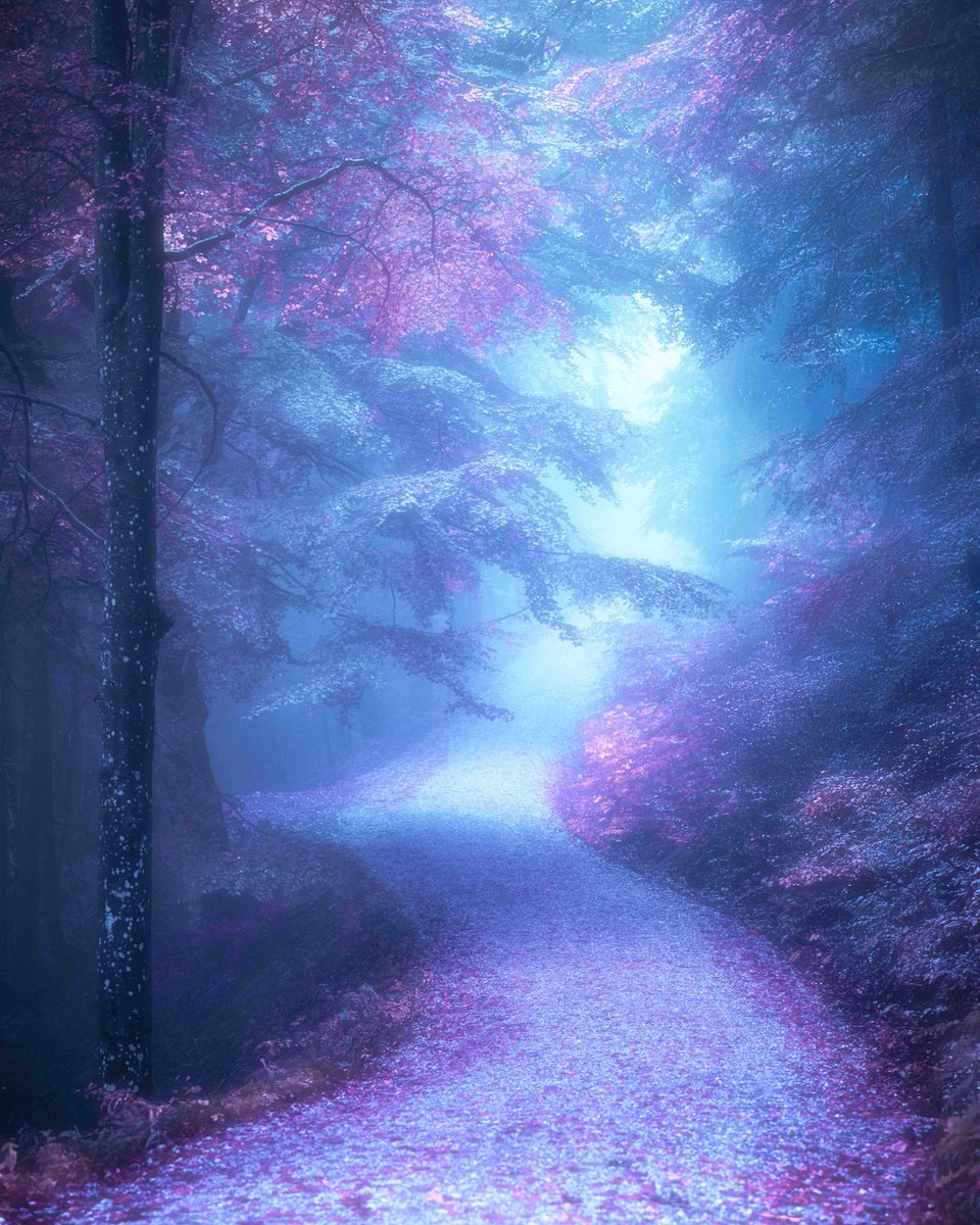 DruidActual's tweet photo. winter dream https://t.co/79tCRSvcZ0