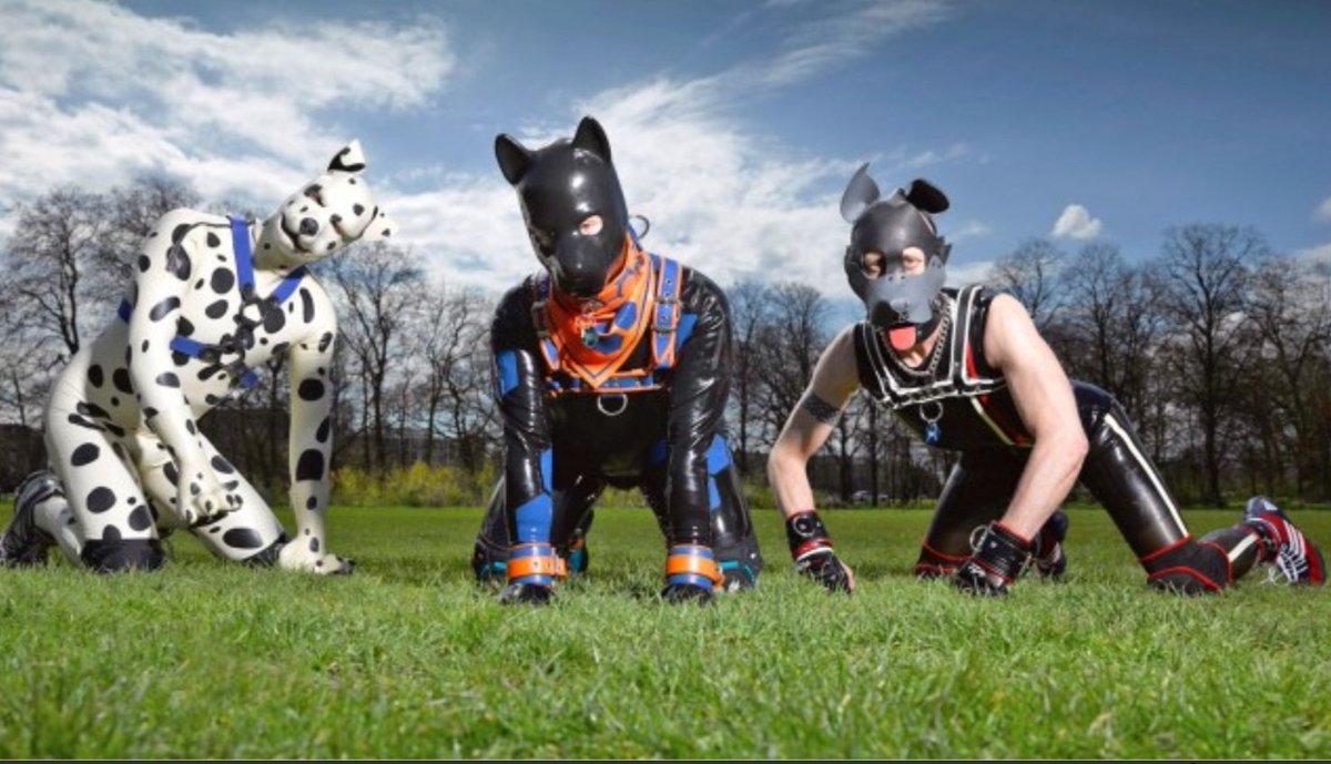 لا تستبعدوا أن يكون مهرجان الكلاب في الرياض هكذا في 2030
#رؤية_2030 #رؤية_السعودية_2030