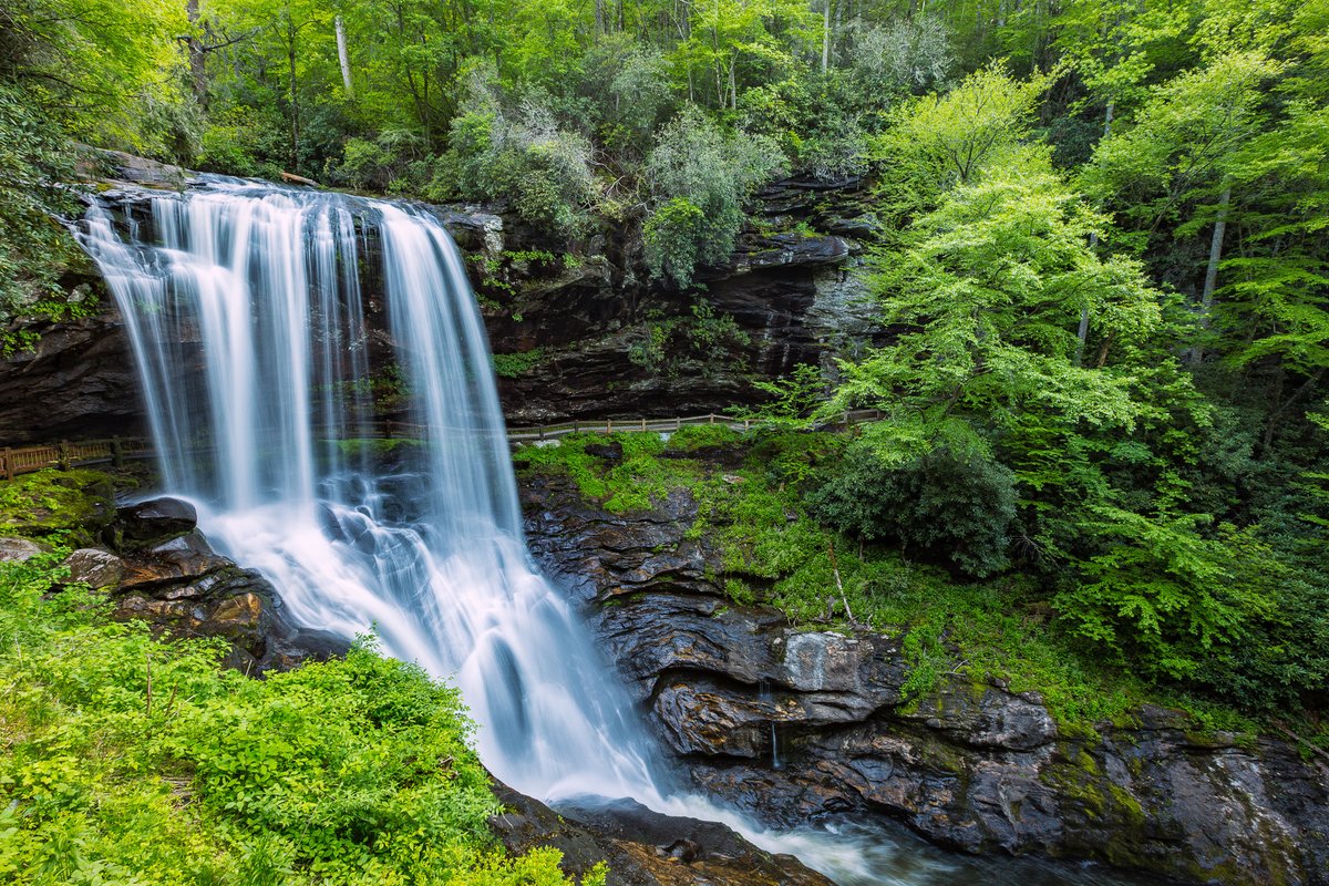 JohnGetchel's tweet photo. #SimplySaturday - share any photo that simply makes you happy!
Being out in nature and capturing her beauty makes me happy! https://t.co/32amla5xVn