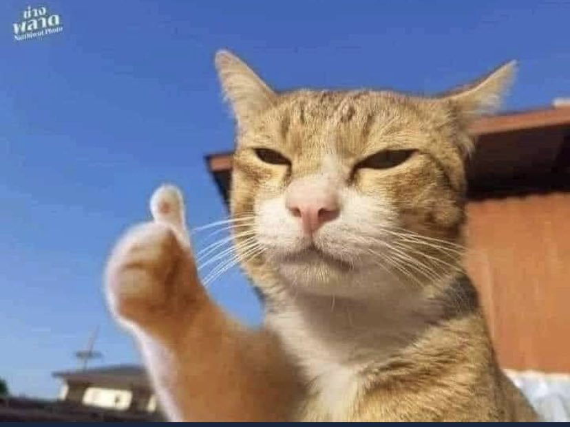 5-2 and into knockouts tommo👍🏽