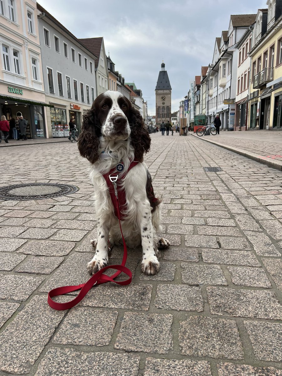 Andy 🇺🇦 tweet media