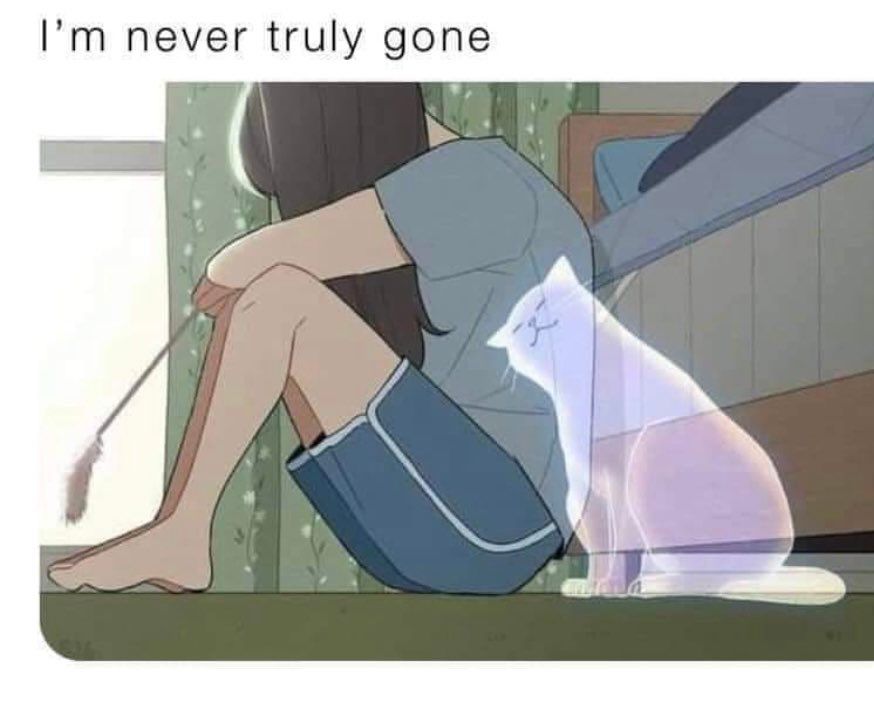 great, now im crying