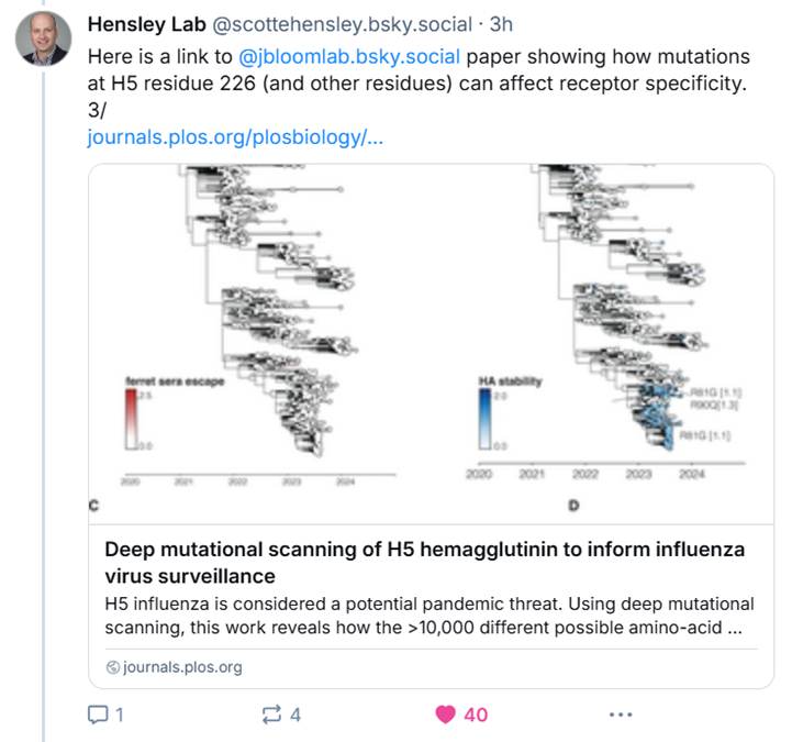 DaniBeckman's tweet image. The preliminary sequence from the #H5N1 human case in British Columbia has been posted, and it is not good news. The virus potentially has mutations that increase binding to human receptors. Analysis by a viral immunologist: