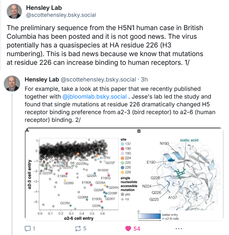 DaniBeckman's tweet image. The preliminary sequence from the #H5N1 human case in British Columbia has been posted, and it is not good news. The virus potentially has mutations that increase binding to human receptors. Analysis by a viral immunologist: