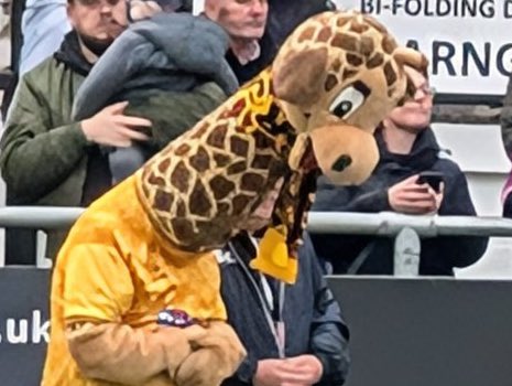 The bow of the head/neck 🤣

📷 <a href="/GaryA1979/">Gary Anderson</a>