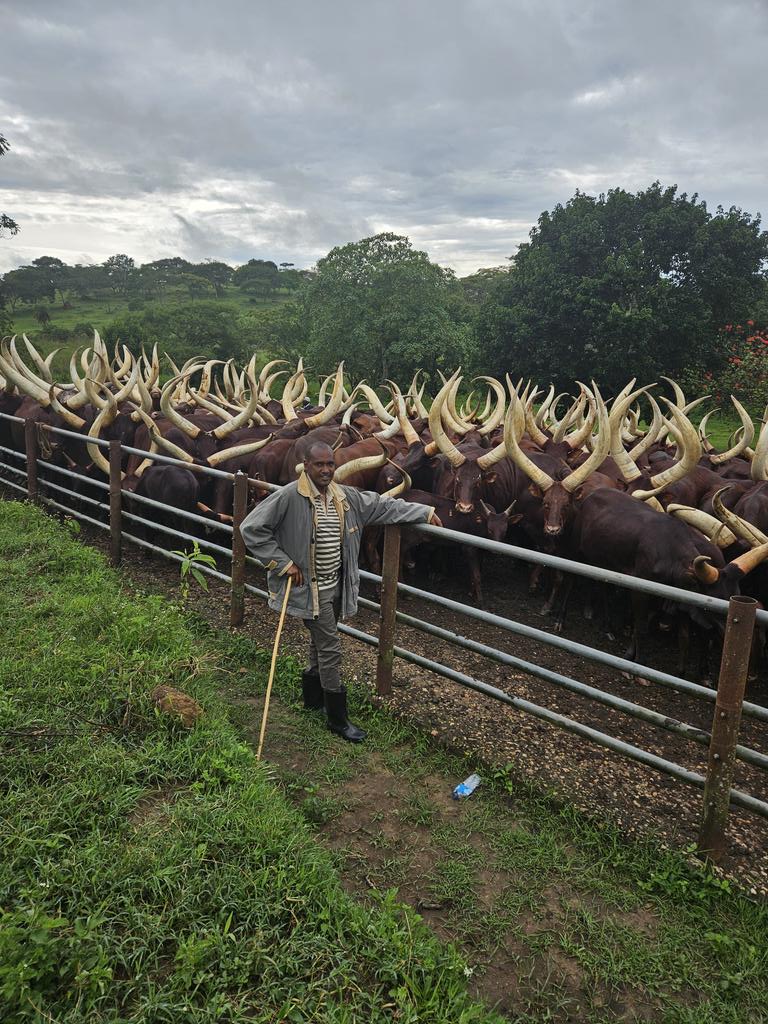 Frank K Tumwebaze,MP: Isaiah 41: 11 tweet media