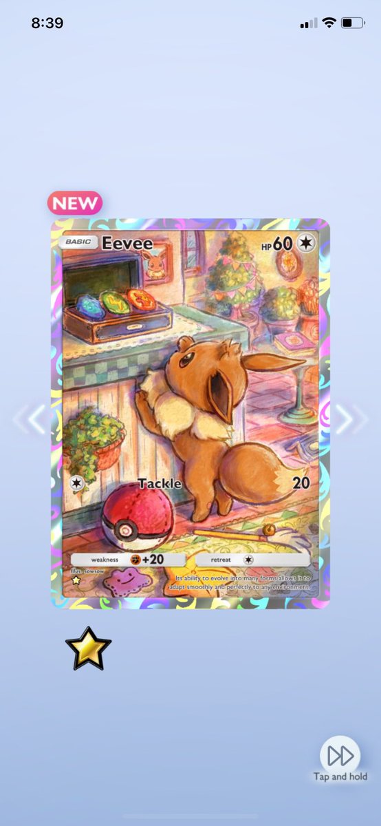 tossingjay's tweet photo. @DylanDyylas Always the eevee https://t.co/Ifc7vavp0P