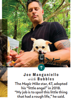 Moffel83's tweet photo. Also nice to see that Matt's college besties #ZacharyQuinto and #JoeManganiello both made it into the issue as well. They're in the "A Sexy Man's Best Friend" section along with our The Normal Heart fave #MarkRuffallo and their three pets🫶❤️ #MattBomer https://t.co/tyuvas3u01