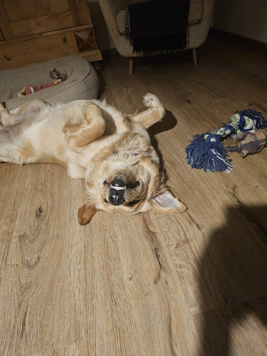 Bombi_Metall mit Herz tweet media