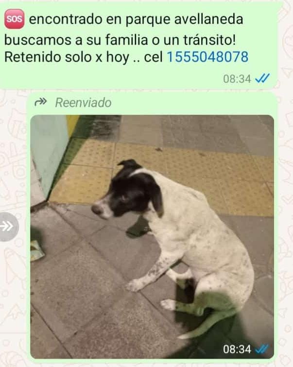 patripeyrou's tweet photo. Difundimos https://t.co/rL8dtgfVqs