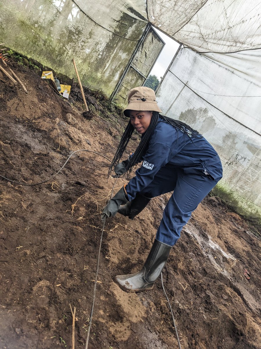 Drip irrigation in Greenhouse settings is a game changer ensuring that every drop counts in our quest for efficient farming  .
@GreenhouseTechnician 
#DripIrrigation  
#SustainableFarming
#EcoFriendly
#Smartfarm