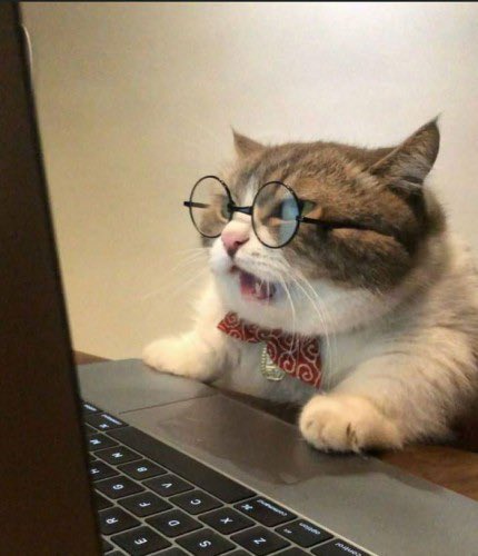 Me over on Bluesky trying to find the accounts of all the people I follow on Twitter.