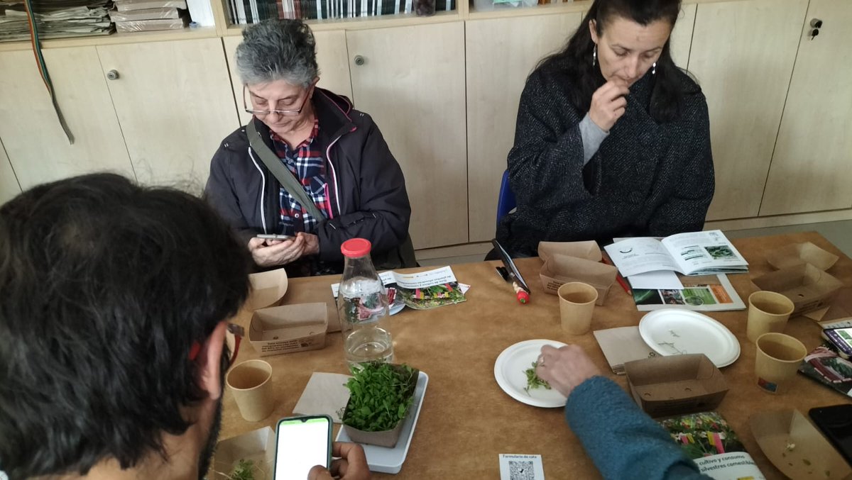 REAL JARDÍN BOTÁNICO tweet media