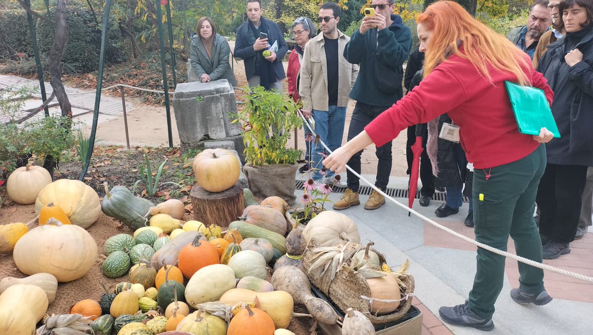 REAL JARDÍN BOTÁNICO tweet media