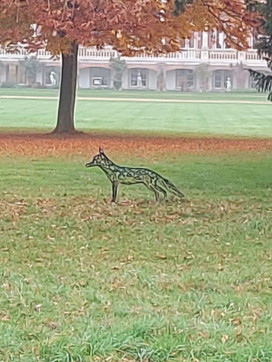 Tree stole colour from fox
