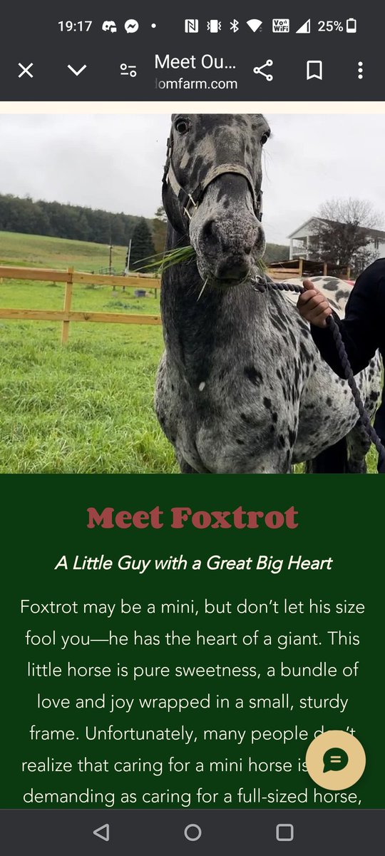 SpongeSkocka's tweet image. $pnut #CHEYENNE $ruby $lucky $fred all of them in millions and billions and only #foxtrot 20k mcap 

pump.fun/coin/2ftuDHDX6…