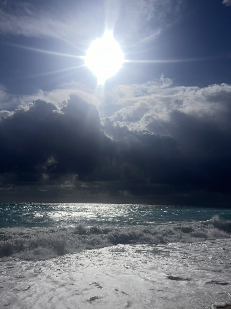 Mark Daly tweet media