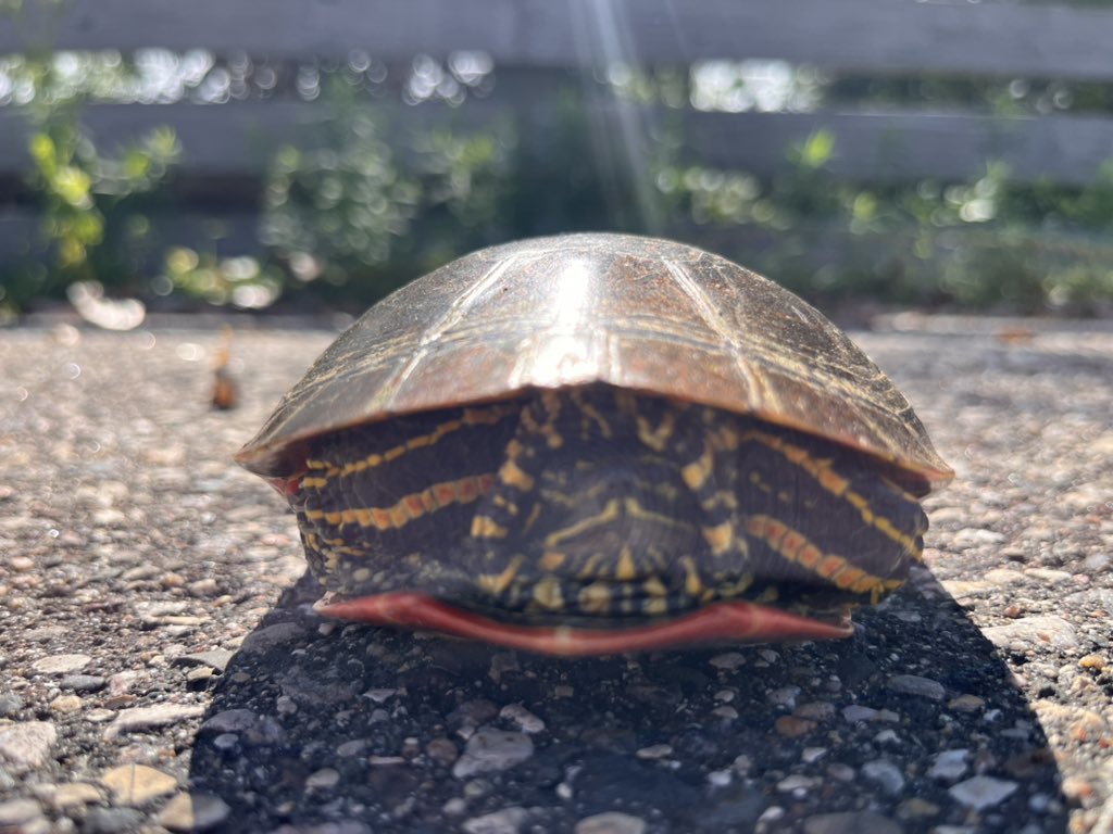 Mark Daly tweet media