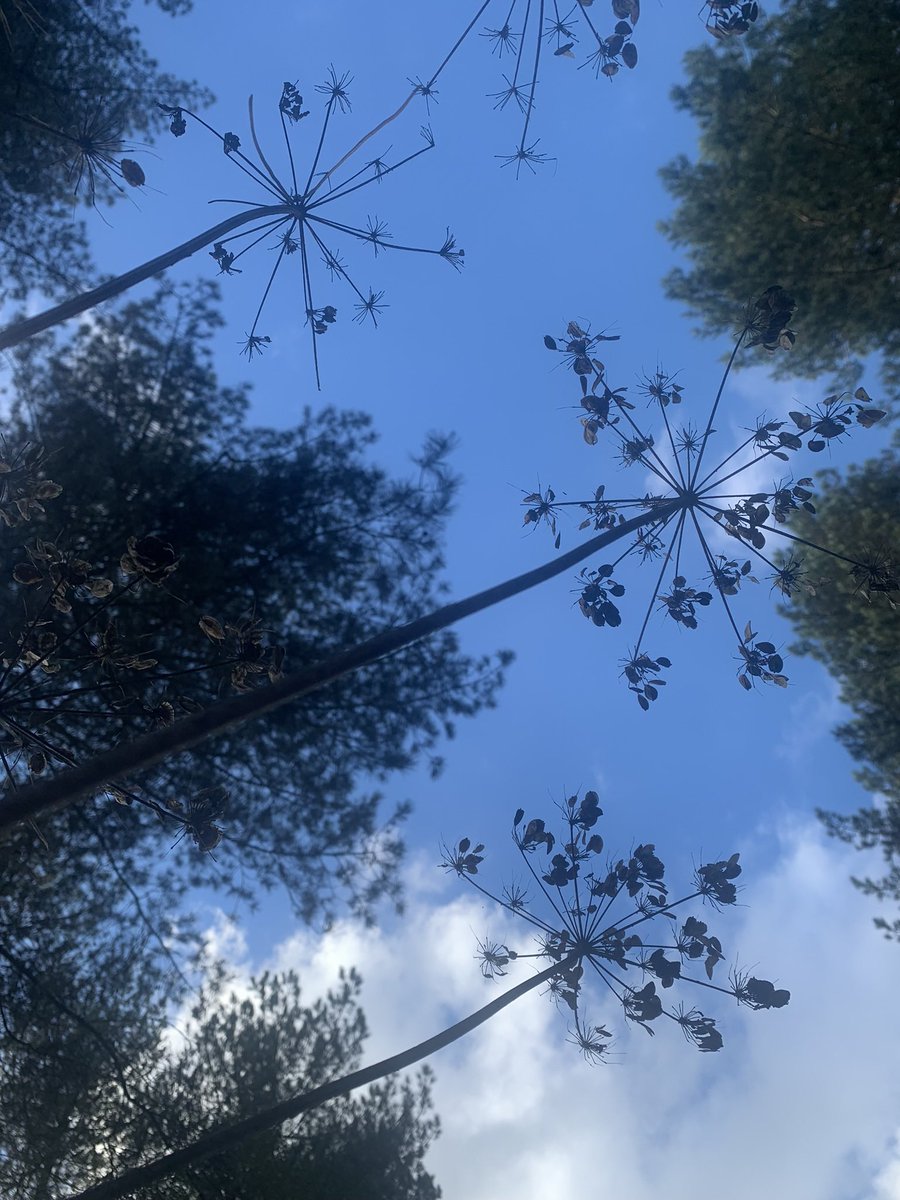 Late to listening on this one, but so glad I now have. Sincere respect, inspiration right here… <a href="/criminology/">Shadd Maruna</a> <a href="/cambridgecrim/">Ruth Armstrong</a>
youtu.be/VR9cJMgstb8?si…