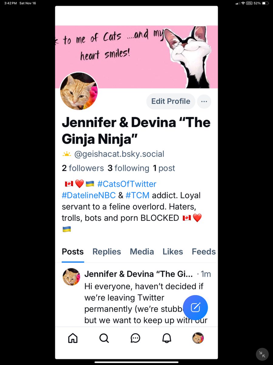 Jennifer & Devina “The Ginja Ninja” 🇨🇦❤️🇺🇦 tweet media