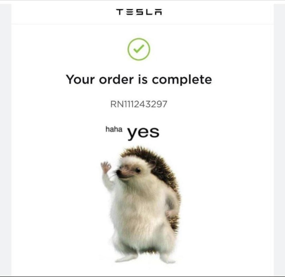 <a href="/hahayes/"></a>