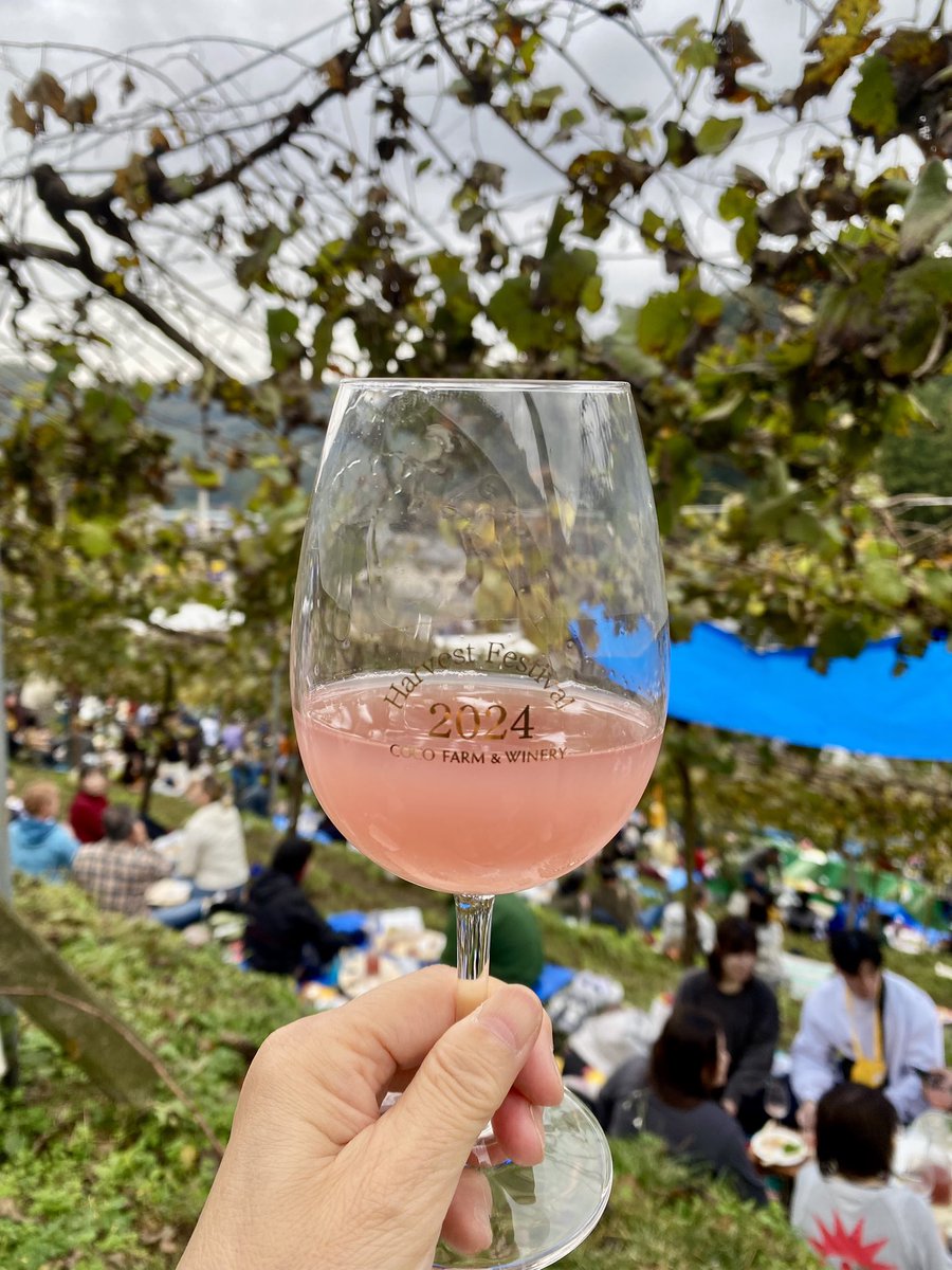rakudapoi's tweet photo. 大好きな足利にあるココファームワイナリーの収穫祭。今年も年老いた天使の皆さまに会えて幸せな気持ちになりました。
#ココファームワイナリー #ココファーム #第41回収穫祭 #収穫祭 #ココファーム収穫祭 #cocofarmwinery #cocofarm #winery #vineyard #wine https://t.co/pDFQBDFP6j