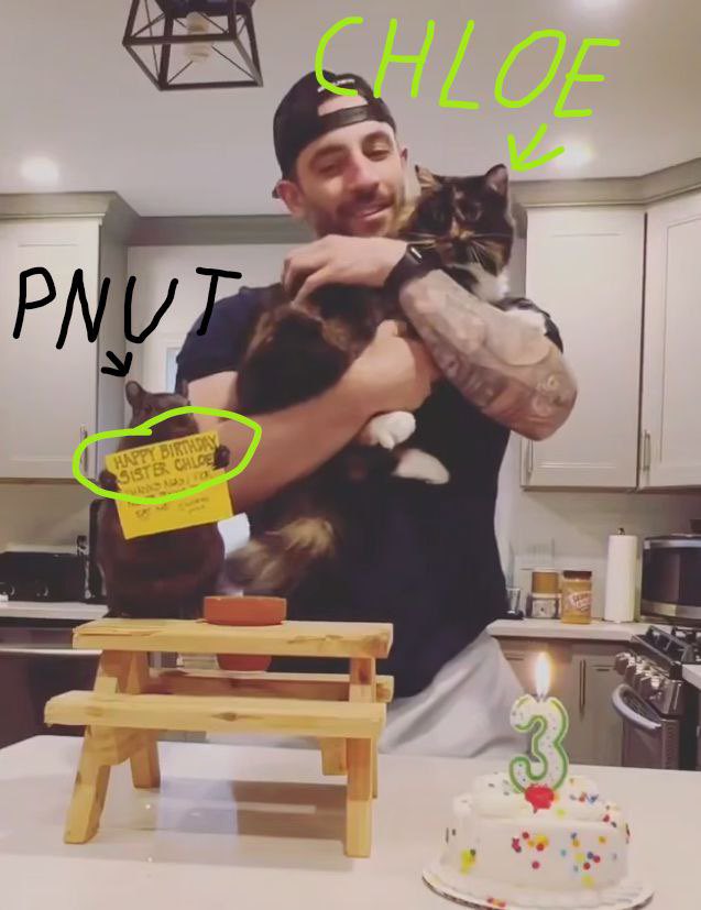 sadkaijuz's tweet image. Yes we do.

$chloe, $pnut's cat sister at 4M.

100M+ on this one is easy.

@peanutchloesol 
8g32ps7JWAL7EDkmBhW49dkUCHRq1Des1Hg8sPSb3ou3
$pnut $chloe $fred