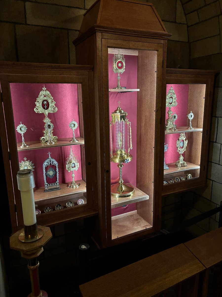 If you are in New York City please visit the beautiful church of Saint Vincent Ferrer located on east 66th street and Lexington Avenue.  They just opened a beautiful shrine dedicated to the relics of saints who were part of the Dominican Order.