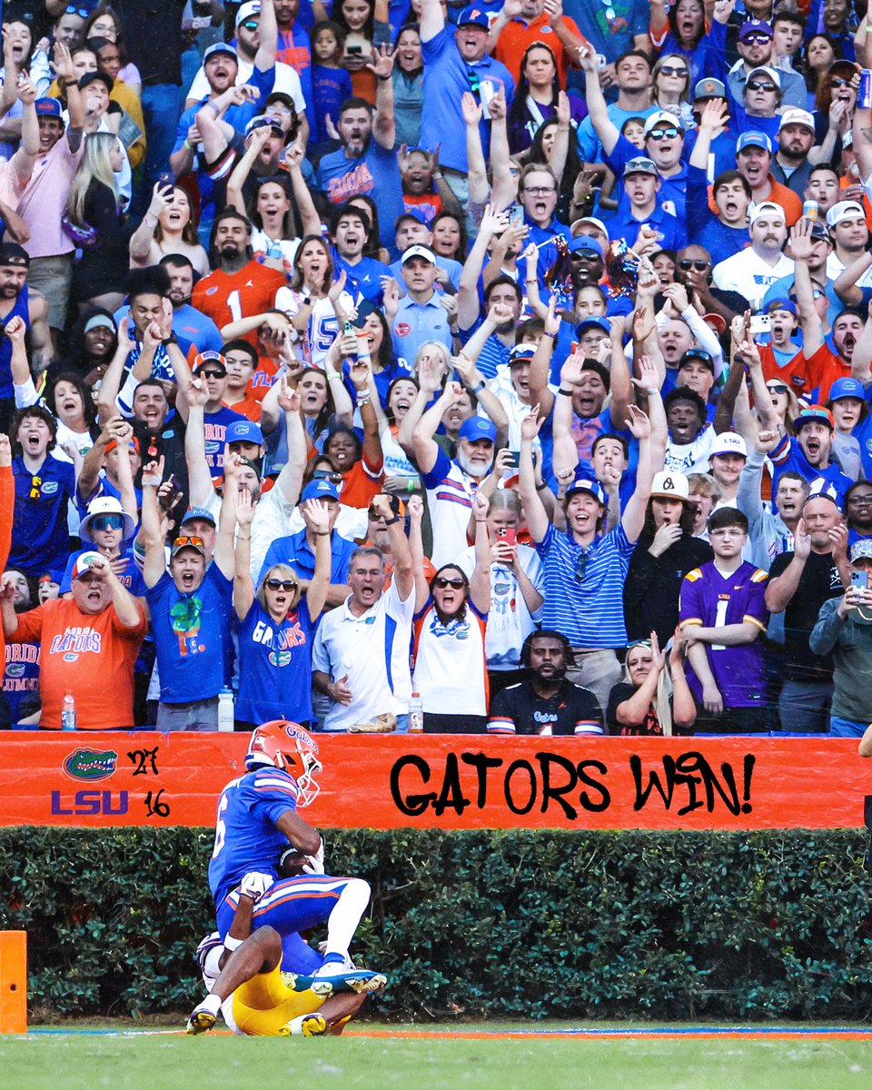 Florida Gators tweet media