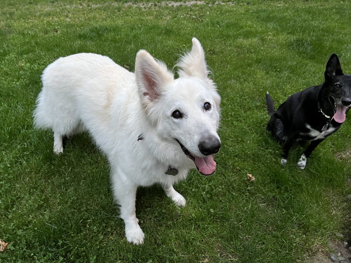 Austin Hargrave tweet media