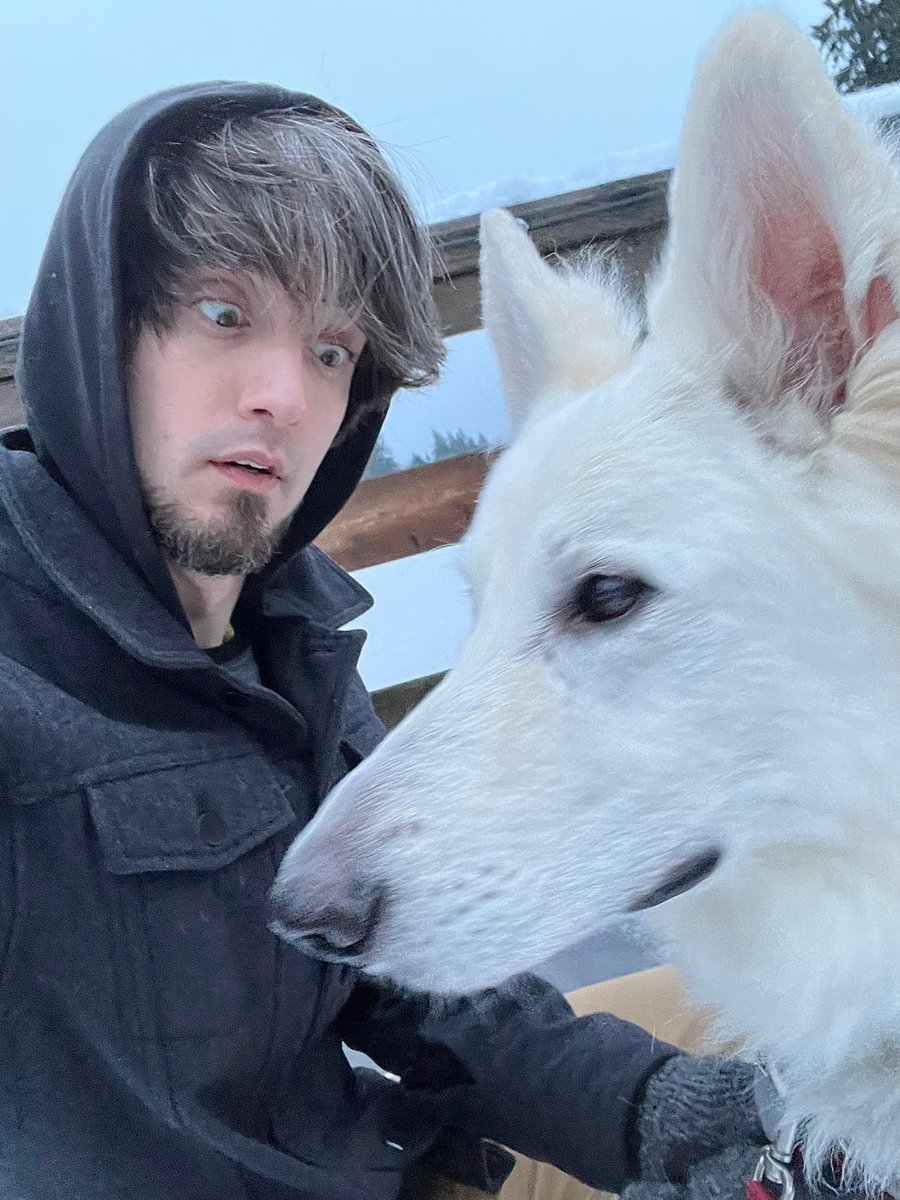 Austin Hargrave tweet media