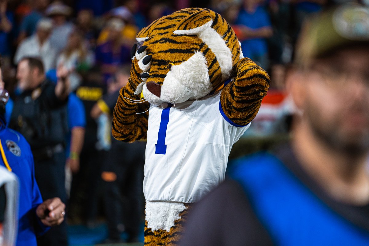 Florida Gators Football (@gatorsfb) on Twitter photo 