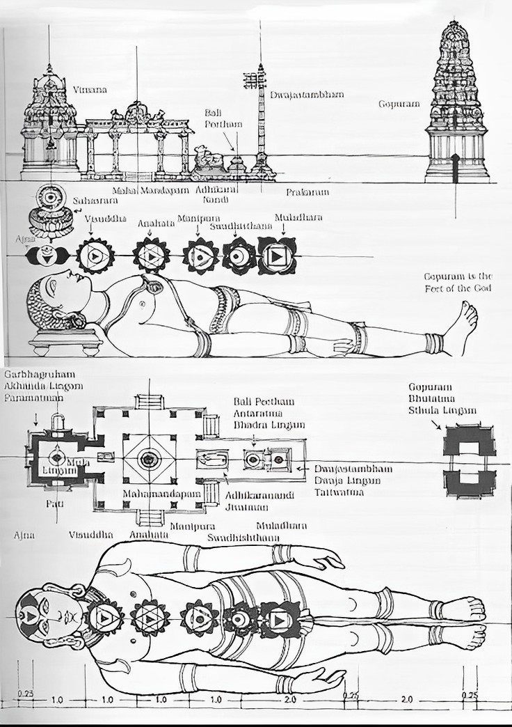 Relationship Between Temple Architecture and Human Anatomy

◆ Vimana: Represents the divine presence, symbolizing the head of the individual, and serves as the main tower of the temple.

◆ Mahal Mandapam: Corresponds to the chest region of the human body, where vital energy and