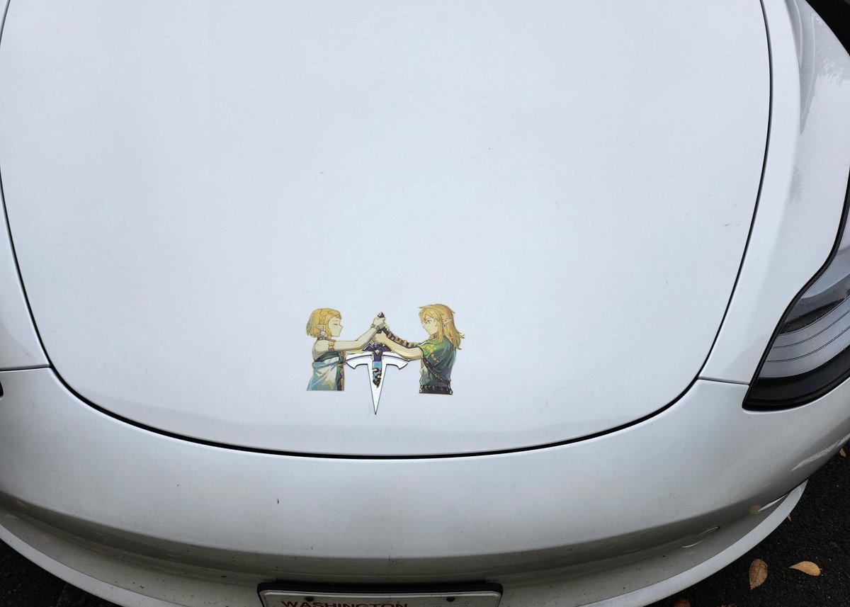 Spherical_Wave's tweet image. My favorite logo adaptation that I&apos;ve seen yet. Combining two of my favorite things: #Tesla  @Tesla and #Zelda #TearsOfTheKingdom