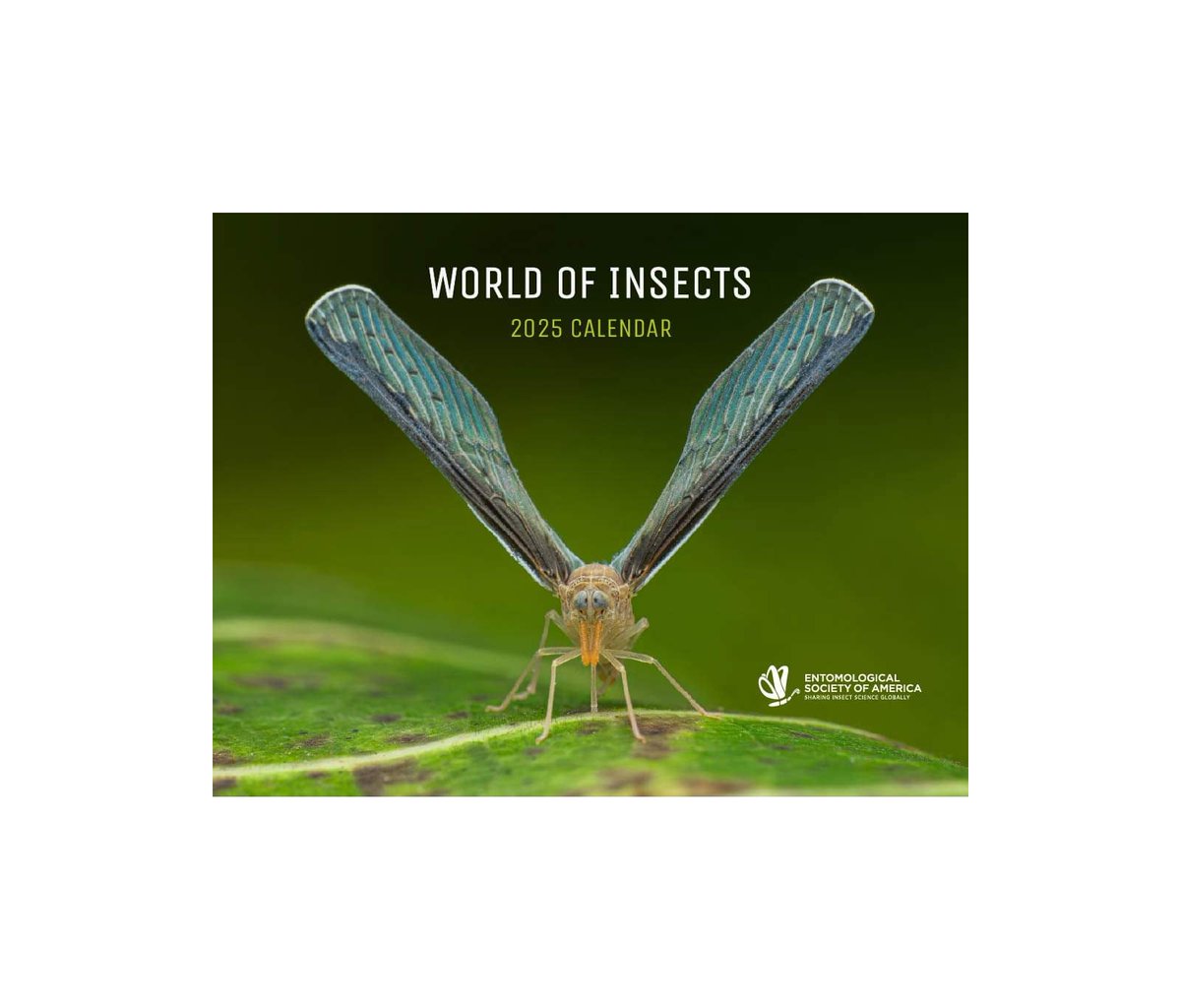 Happy to have my photo featured in the Entomological Society of America 2025 World Insect Calendar the third year in a row! This year's calendar is packed with stunning insect photography from around the world. Don’t miss out—order your copy now at entsoc.org!