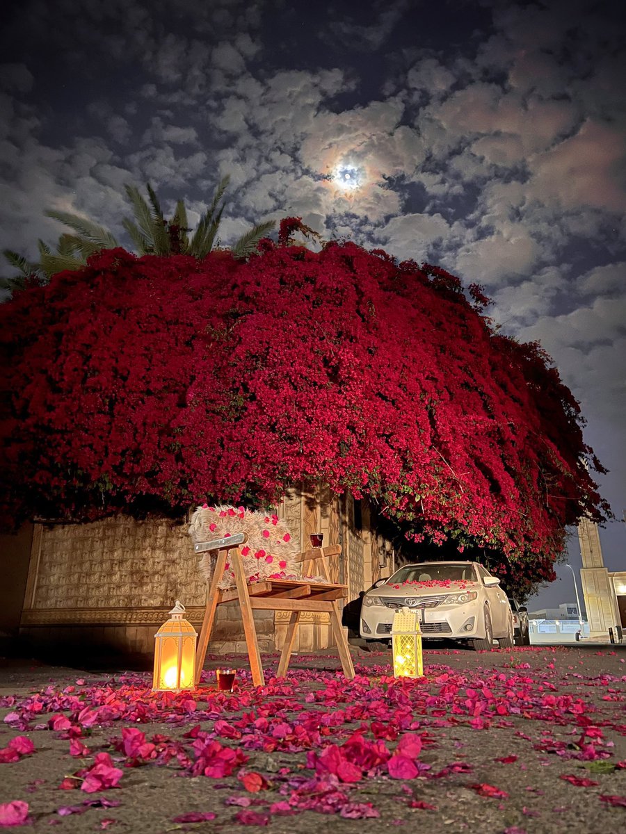 Arabbeau's tweet photo. flowers and moon، Saudi Arabia https://t.co/ZvMzecnbhT