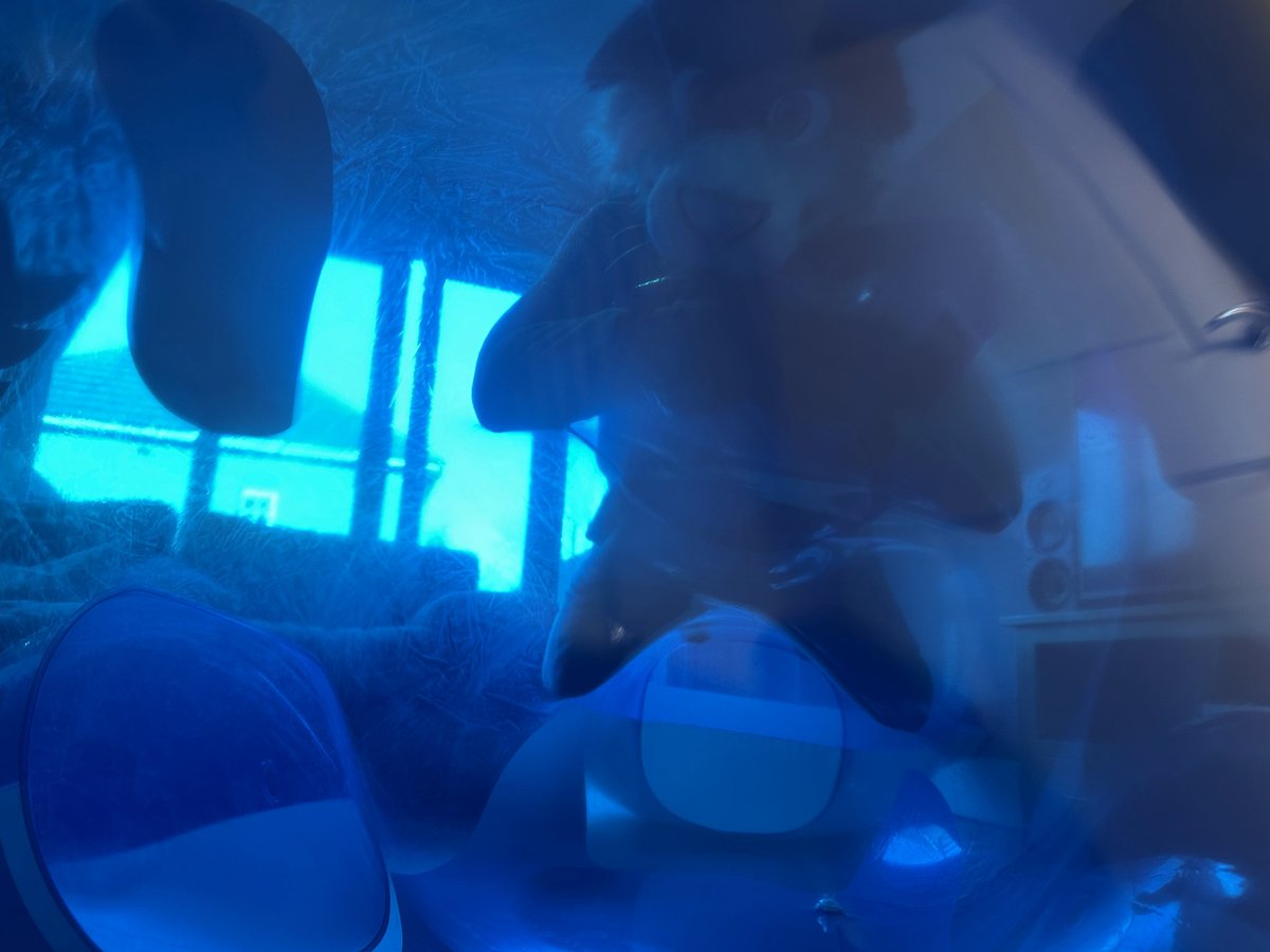 Pitch Shift tweet media