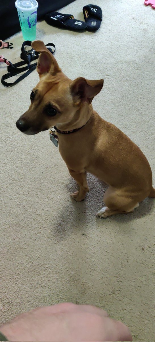 moffat_cody's tweet image. The face of a woman who has inexplicably shit blood all over the bathroom floor